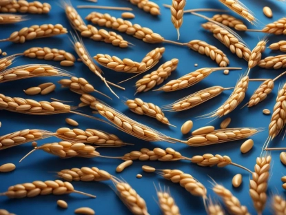 Press release: Ukraine has lost 19.3% of its arable land due to the war