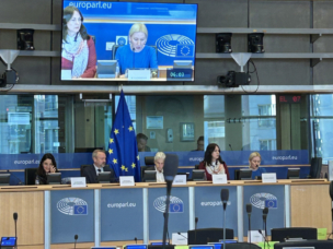 Discussions at the European Parliament’s Committee on Security and Defence (SEDE) in Brussels